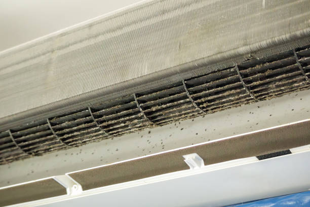 Best HVAC Duct Inspection Services  in Everman, TX